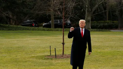 Donald Trump Donald Trump