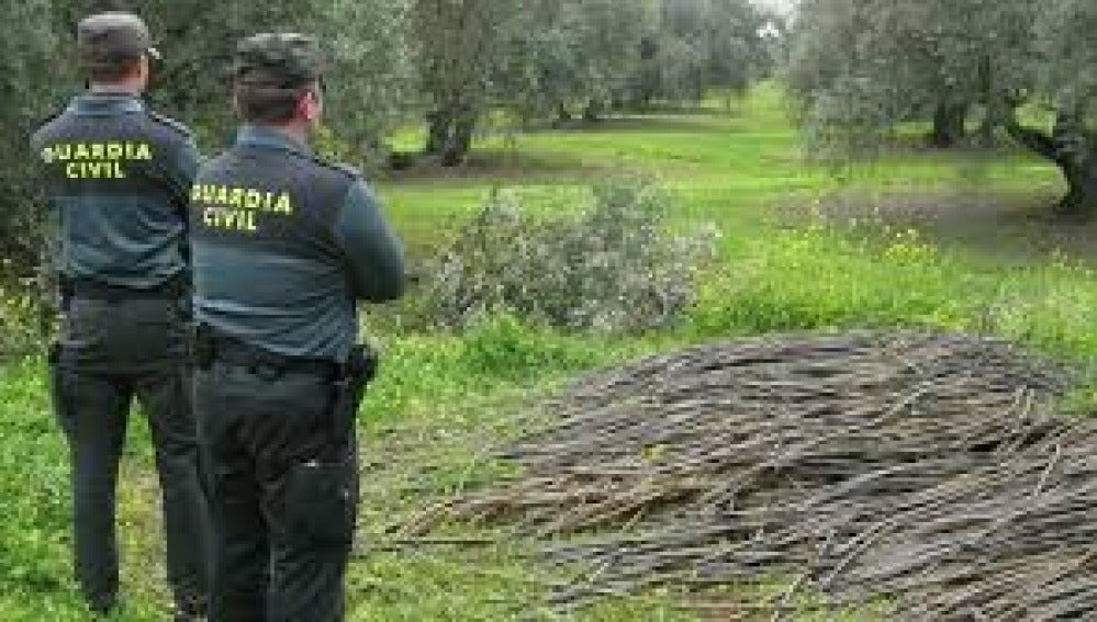 Agentes de la Guardia Civil