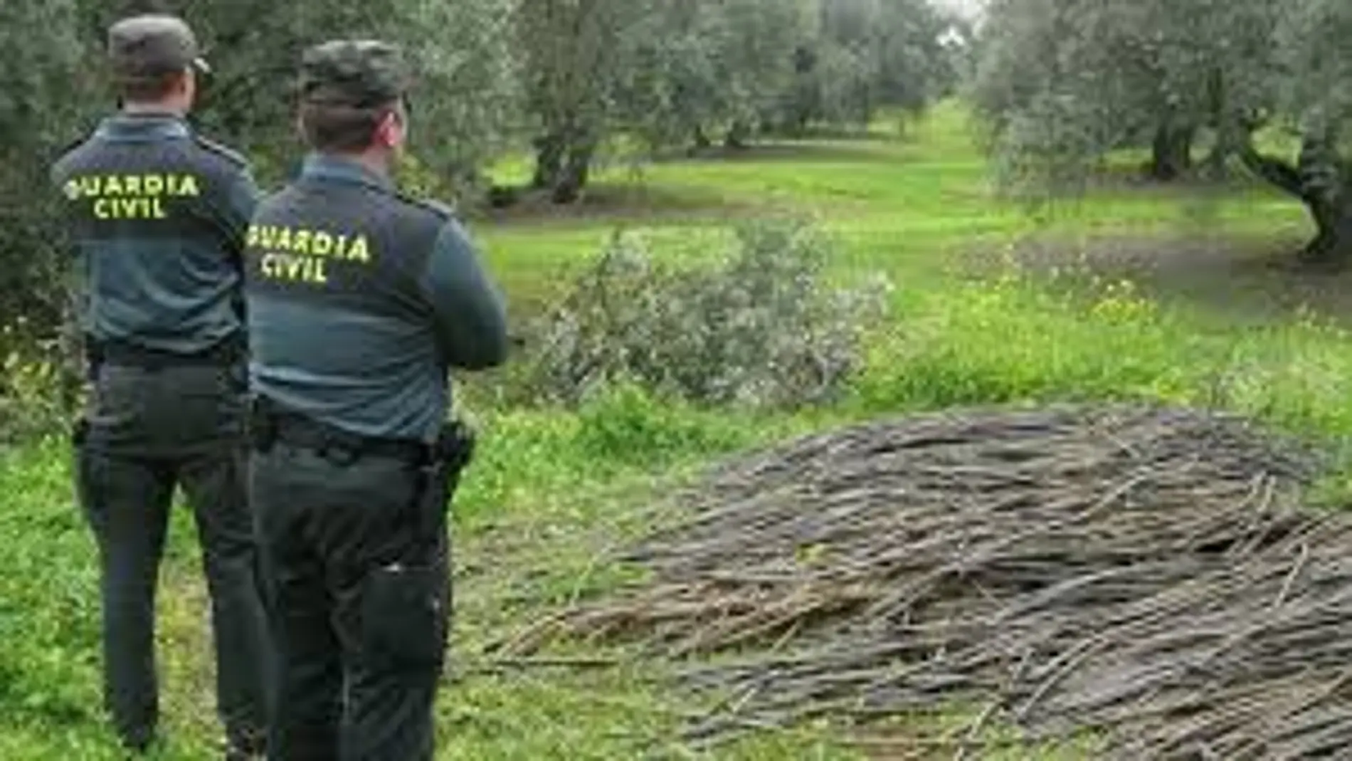Agentes de la Guardia Civil Agentes de la Guardia Civil