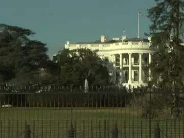 Melania Trump ordena la retirada de una histórica magnolia de la Casa Blanca Melania Trump ordena la retirada de una histórica magnolia de la Casa Blanca