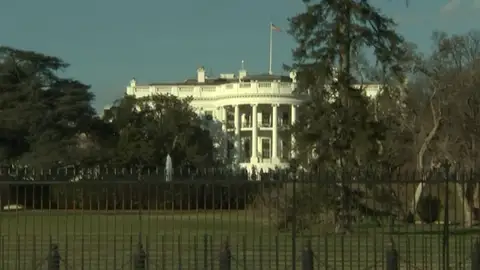 Melania Trump ordena la retirada de una histórica magnolia de la Casa Blanca Melania Trump ordena la retirada de una histórica magnolia de la Casa Blanca