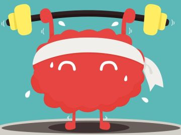 ¿Cómo puedes aumentar tu inteligencia? ¿Cómo puedes aumentar tu inteligencia?