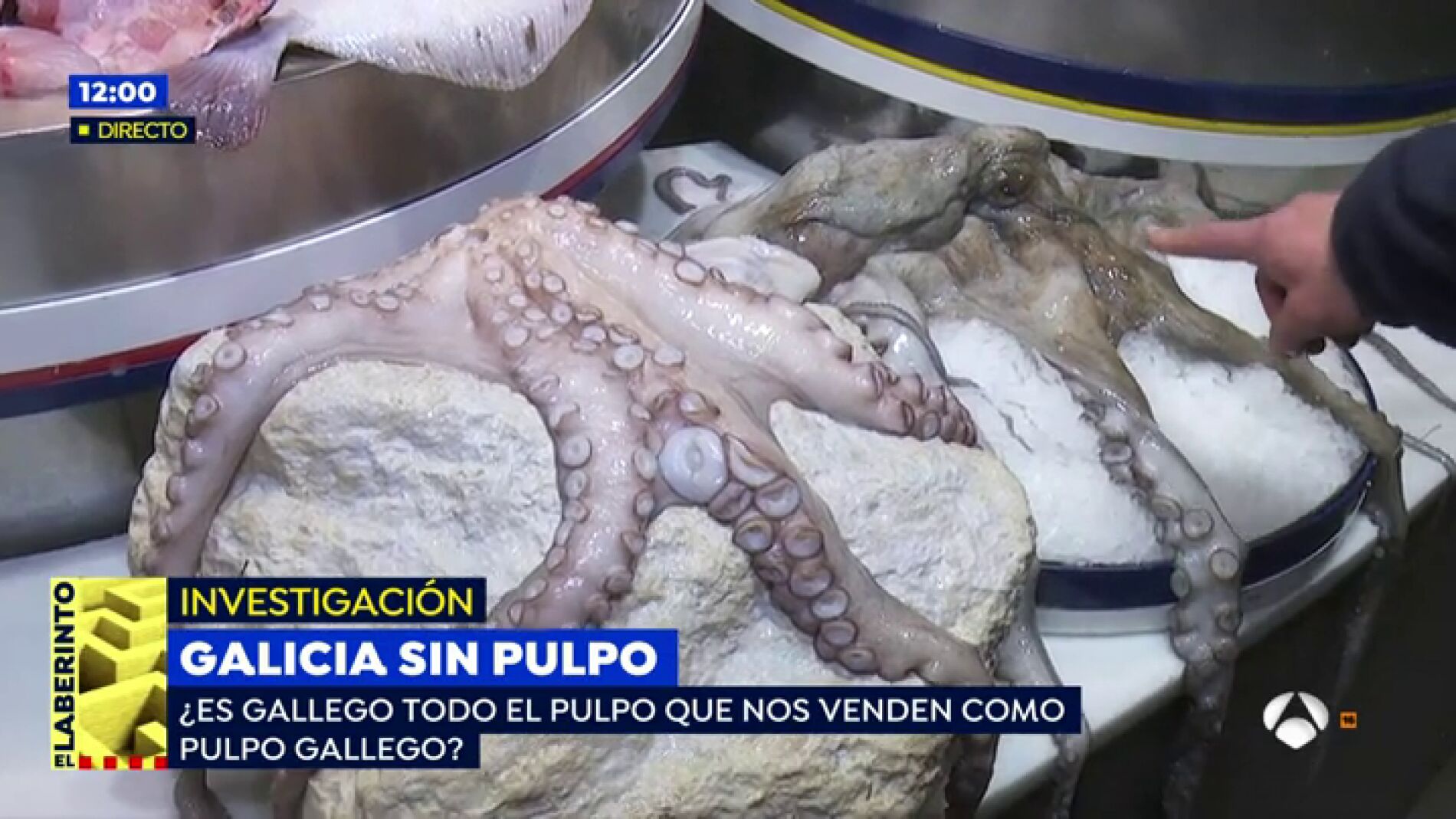 EP pulpo
