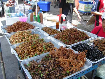 Insectos en un mercado callejero asiático. Insectos en un mercado callejero asiático.