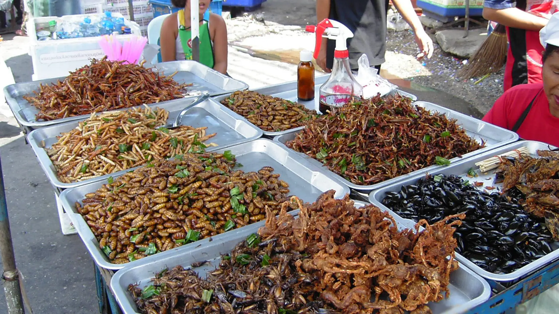 Insectos en un mercado callejero asiático.
