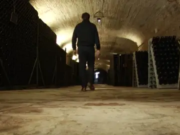 Agricultura autoriza ampliar los cultivos destinados a elaborar cava Agricultura autoriza ampliar los cultivos destinados a elaborar cava