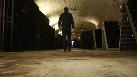 Agricultura autoriza ampliar los cultivos destinados a elaborar cava Agricultura autoriza ampliar los cultivos destinados a elaborar cava