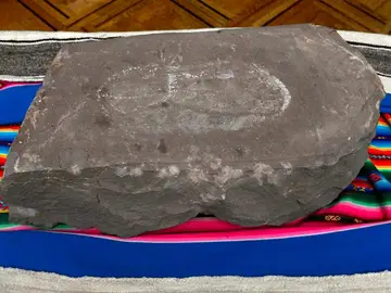 La huella más antigua del mundo La huella más antigua del mundo