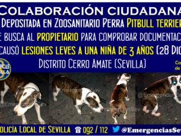 Buscan al dueño de una perra en Sevilla