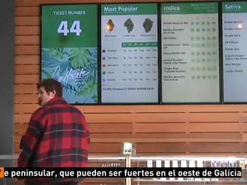 Abren sus puertas las tiendas de venta de cannabis con fines recreativo en California Abren sus puertas las tiendas de venta de cannabis con fines recreativo en California