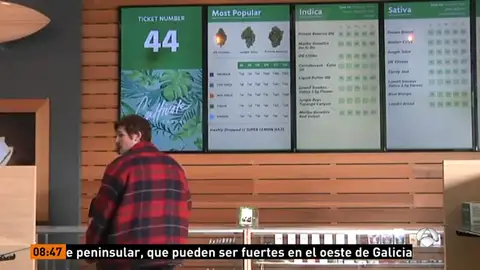 Abren sus puertas las tiendas de venta de cannabis con fines recreativo en California Abren sus puertas las tiendas de venta de cannabis con fines recreativo en California