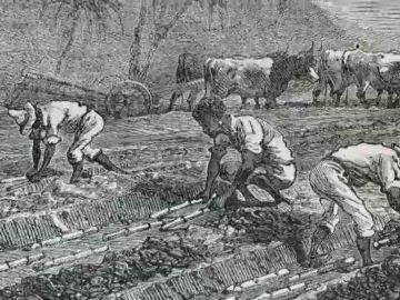 Un tesoro aborigen de m&aacute;s de 17 mil folios
