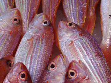 pescado_643x397 pescado_643x397