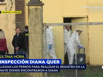 inspección inspección