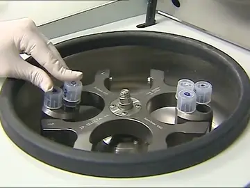 Empresas valencianas ofrecen descuentos para la congelación de óvulos de sus empleadas Empresas valencianas ofrecen descuentos para la congelación de óvulos de sus empleadas