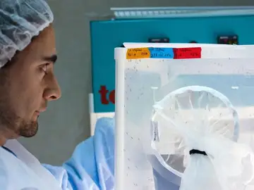 Publican un estudio que revela que el precio de los medicamentos oncológicos se ha duplicado en los últimos diez años. Publican un estudio que revela que el precio de los medicamentos oncológicos se ha duplicado en los últimos diez años.