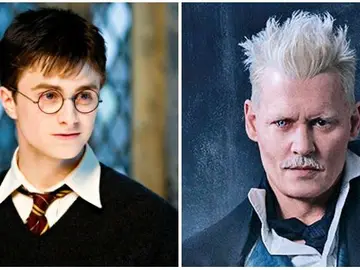 Daniel Radcliffe se manifiesta sobre la polémica participación de Johnny Depp en 'Animales Fantásticos' Daniel Radcliffe se manifiesta sobre la polémica participación de Johnny Depp en 'Animales Fantásticos'