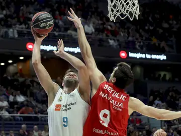 Felipe Reyes, ante Sekulic Felipe Reyes, ante Sekulic