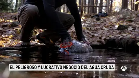 aguacruda aguacruda