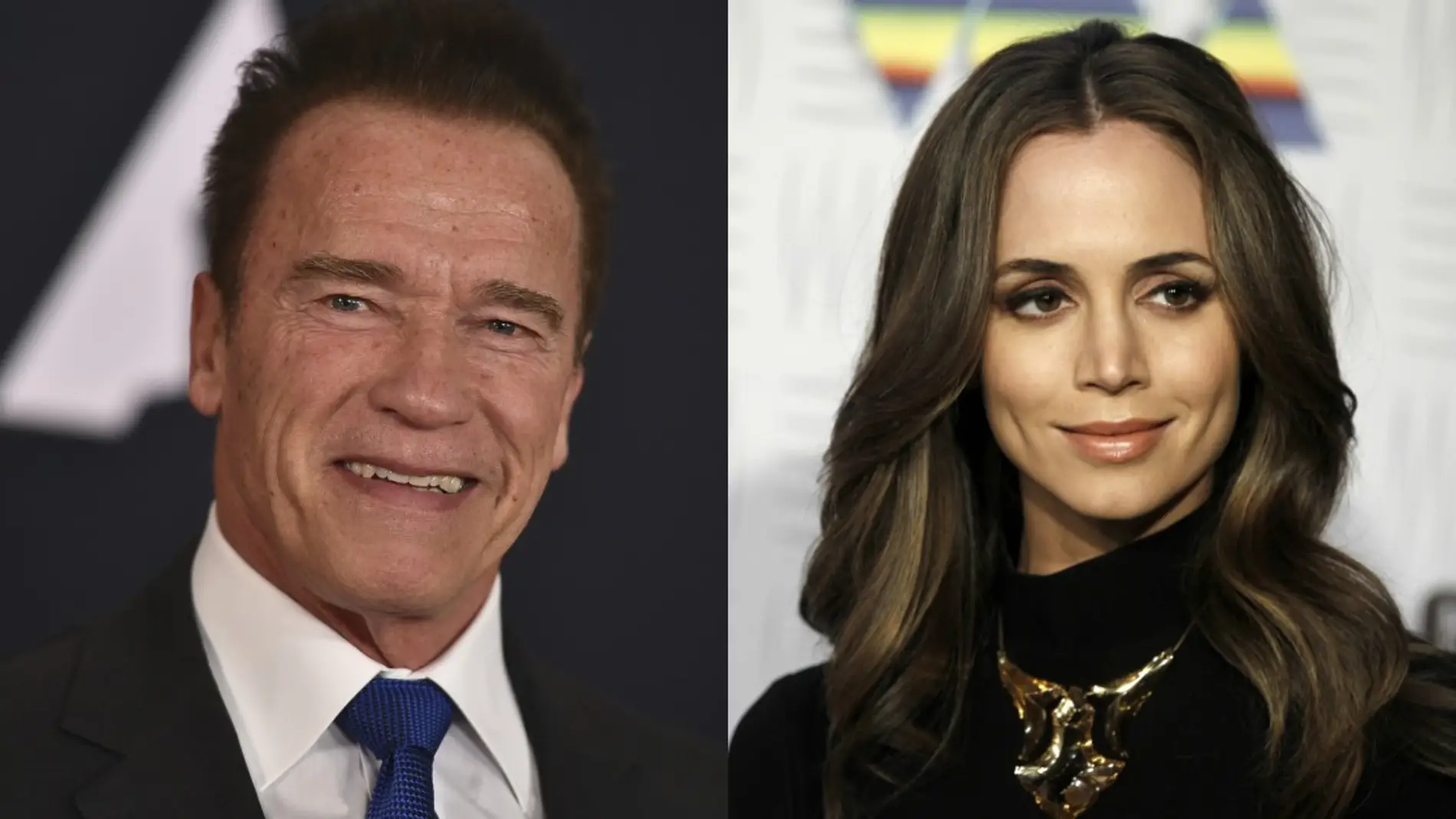 Arnold Schwarzenegger habla del testimonio de Eliza Dushku