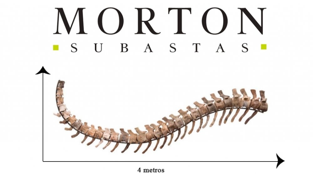 Fósil de dinosaurio