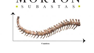 Un fósil de dinosaurio sale a subasta para ayudar a los damnificados por los terremotos en México