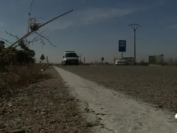 POLEMICA POLEMICA