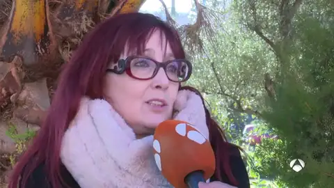 ViserasA3D ViserasA3D