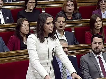 Delegación de voto Delegación de voto