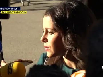 ARRIMADAS ARRIMADAS