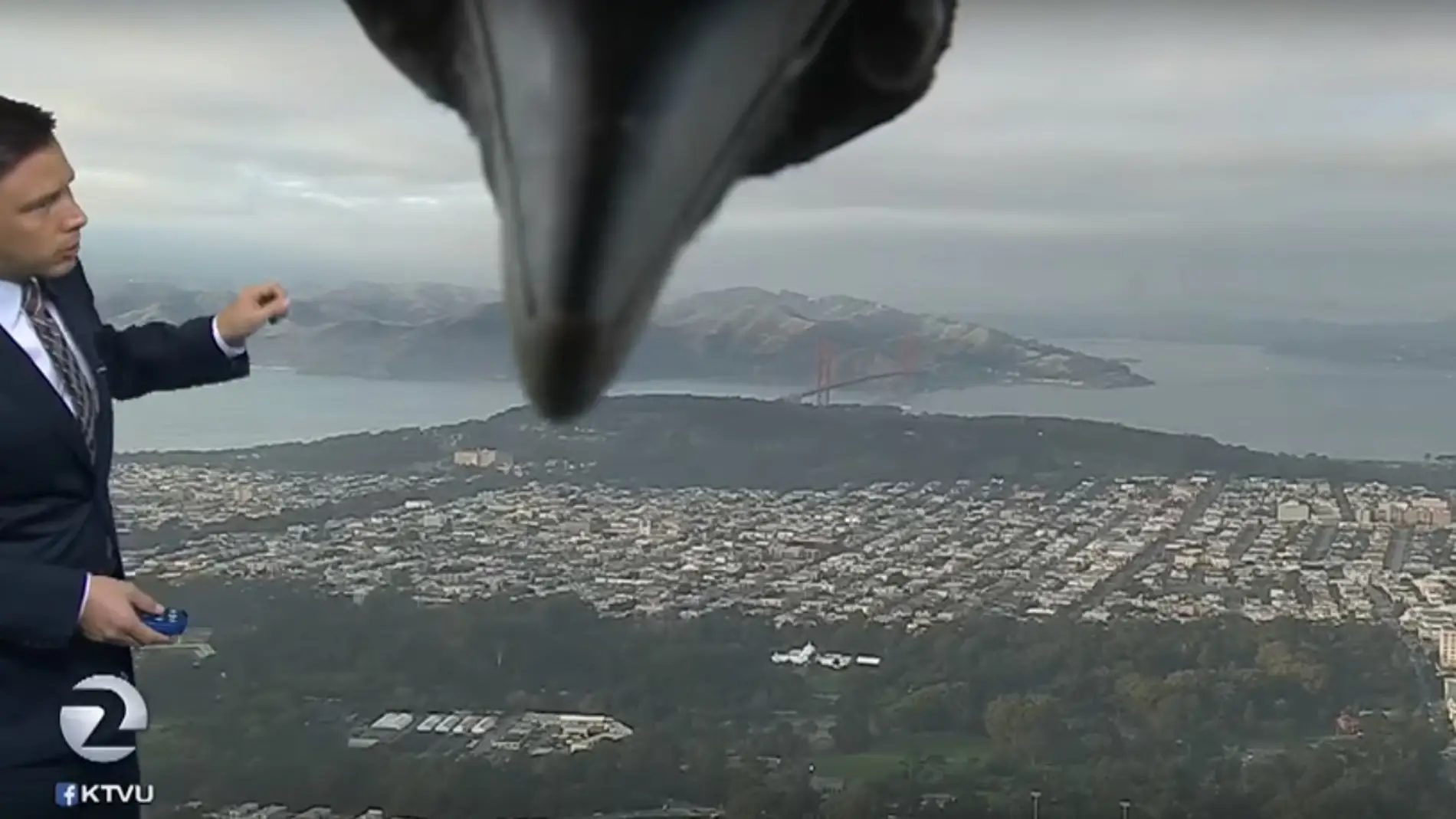 Un pájaro interrumpe el tiempo de San Francisco