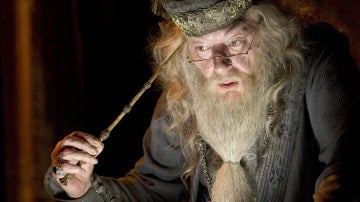 Dumbledore preocupado en la vida