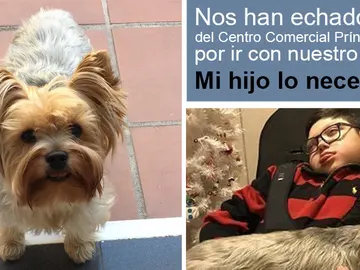 Petición en change.org Petición en change.org