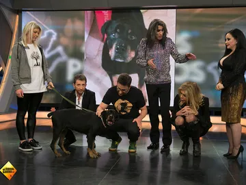 Candela, la perrita que estuvo 9 años abandonada, busca un nuevo hogar Candela, la perrita que estuvo 9 años abandonada, busca un nuevo hogar