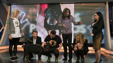 Candela, la perrita que estuvo 9 años abandonada, busca un nuevo hogar
