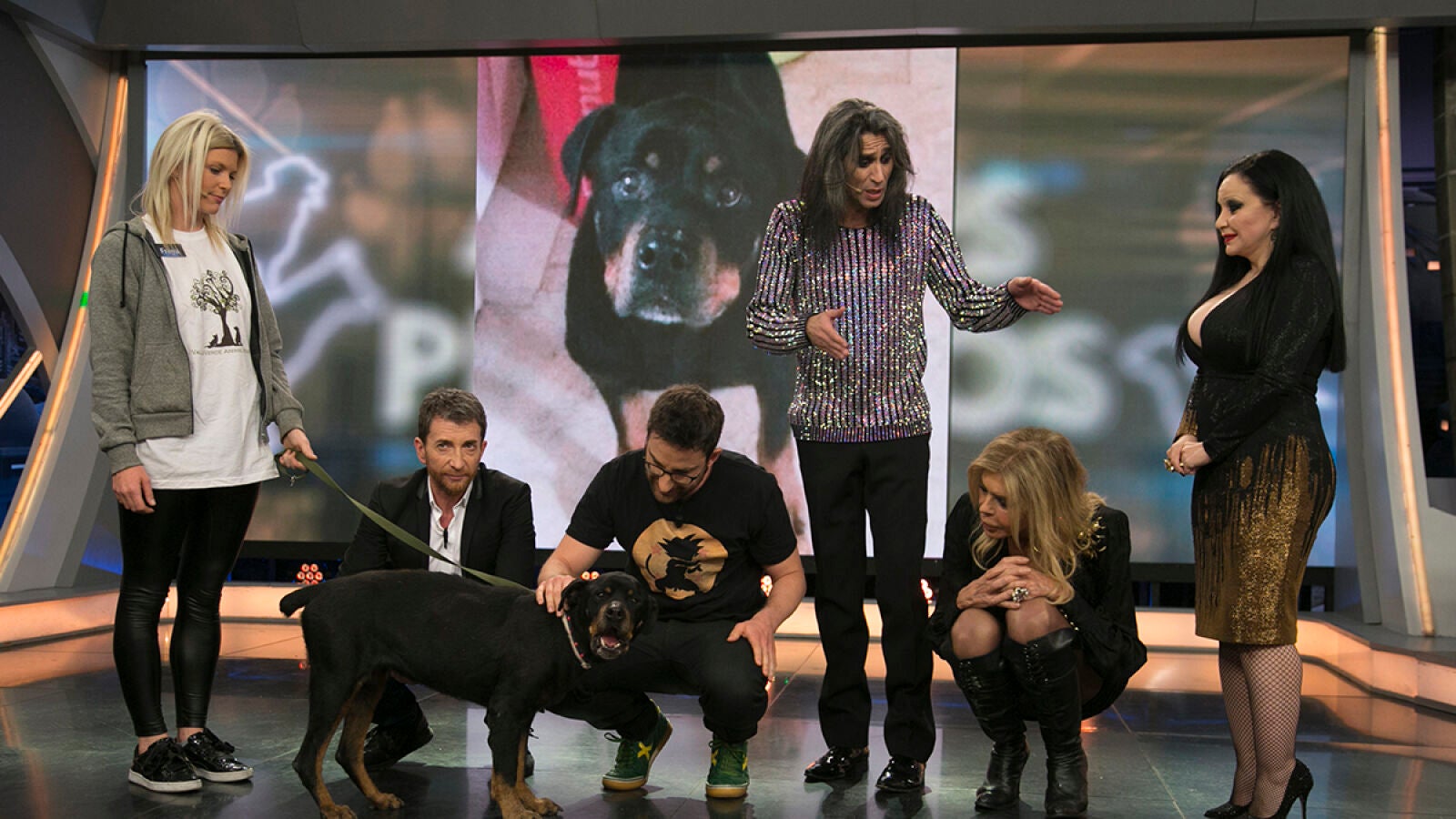 Candela, la perrita que estuvo 9 años abandonada, busca un nuevo hogar