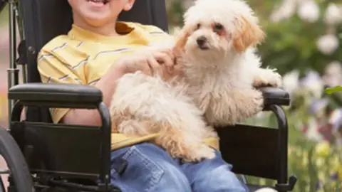Un niño con discapacidad en una silla de ruedas con su perro Un niño con discapacidad en una silla de ruedas con su perro