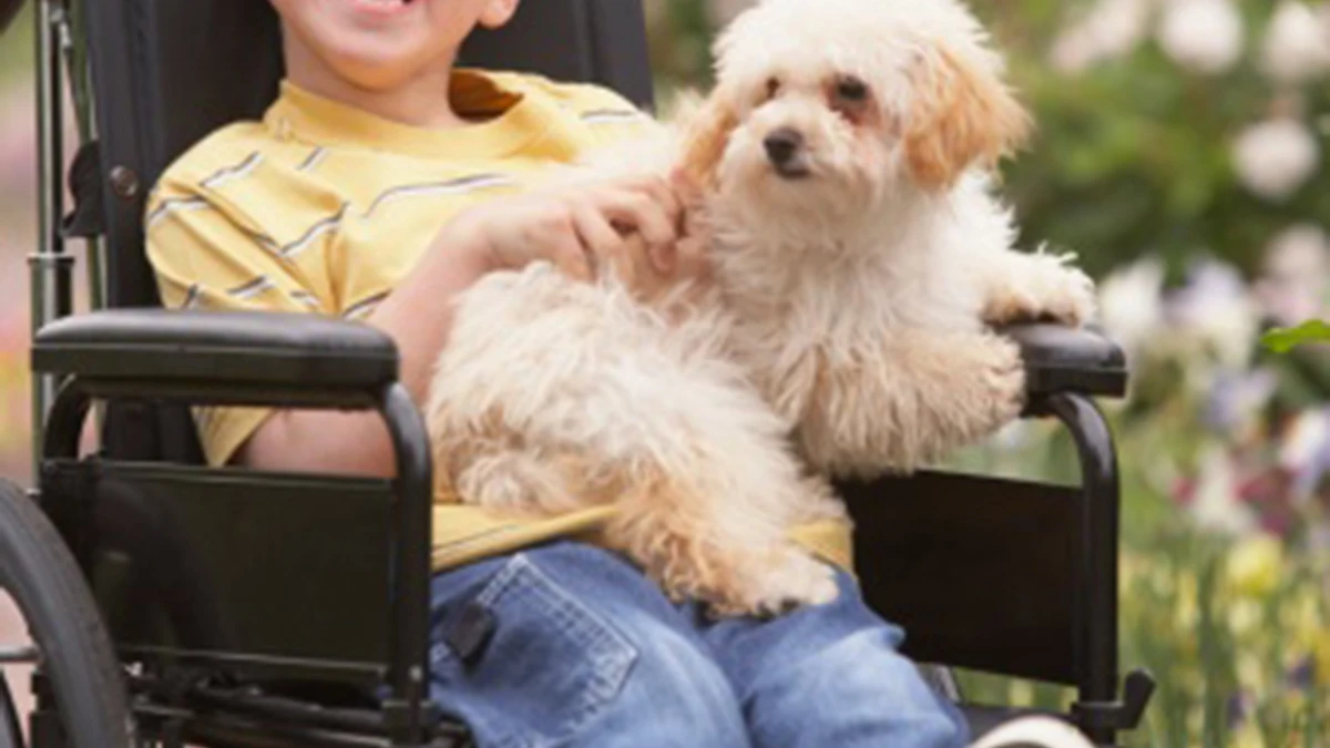 Un niño con discapacidad en una silla de ruedas con su perro Un niño con discapacidad en una silla de ruedas con su perro