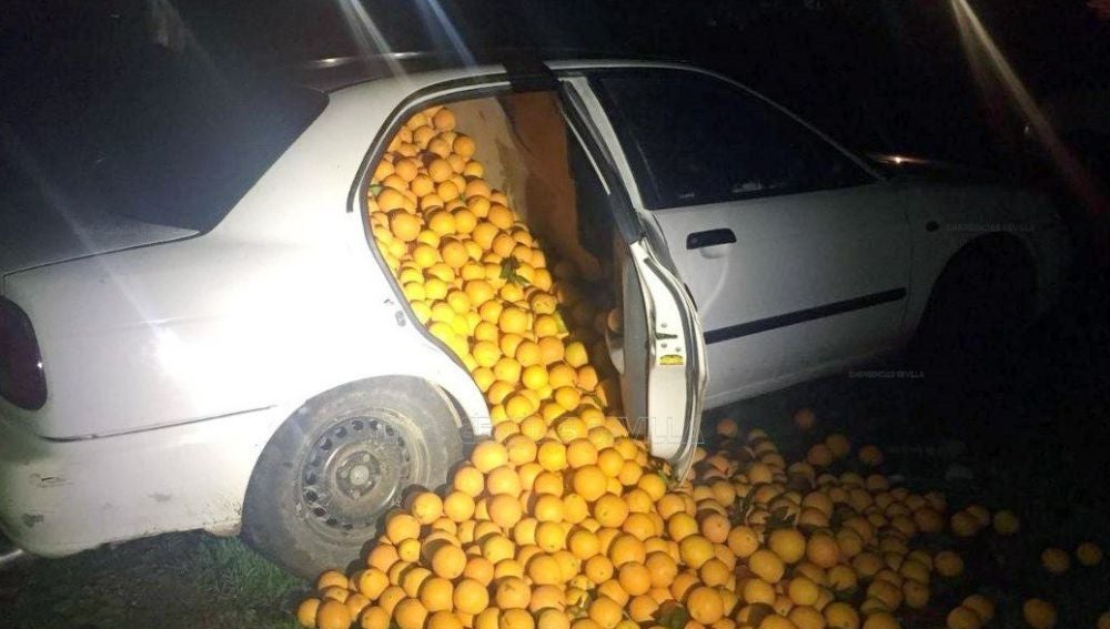 Uno de los coches llenos de naranjas