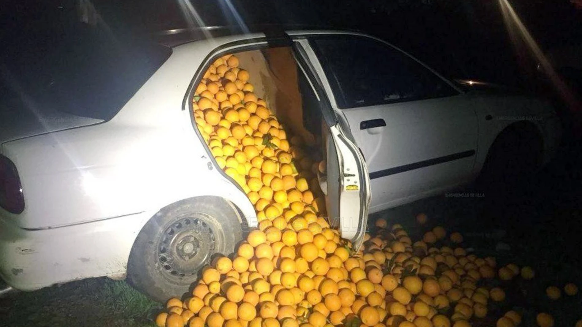 Uno de los coches llenos de naranjas Uno de los coches llenos de naranjas