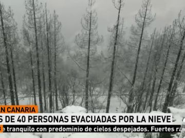 Evacúan a unas 40 personas, entre ellas niños y mujeres embarazadas, de la cumbre de Gran Canaria