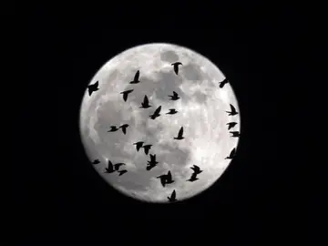 La 'superluna' fotografiada desde Italia La 'superluna' fotografiada desde Italia
