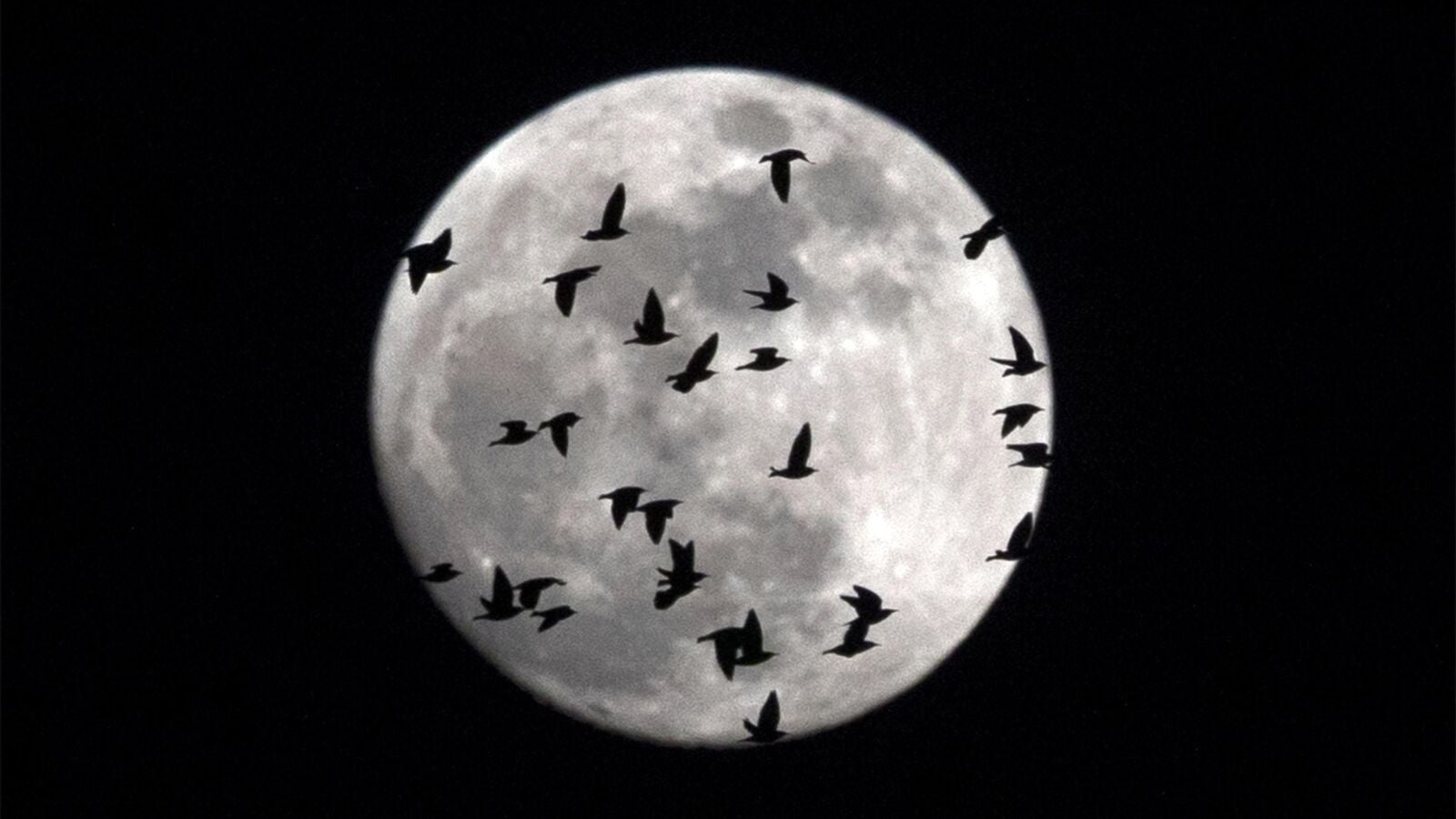 La Luna pudo haber surgido de una enorme nube de roca vaporizada en forma de 'rosquilla' en lugar de formarse tras una colisión