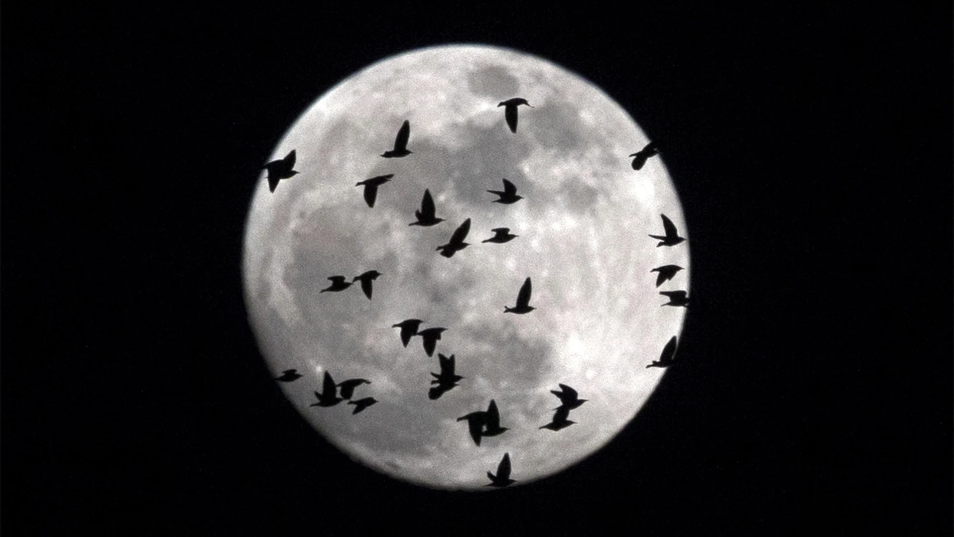 La 'superluna' fotografiada desde Italia La 'superluna' fotografiada desde Italia