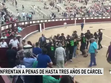 "Fue pacífico", el argumento que los 29 antitaurinos que saltaron al ruedo de Las Ventas esgrimen en su defensa "Fue pacífico", el argumento que los 29 antitaurinos que saltaron al ruedo de Las Ventas esgrimen en su defensa