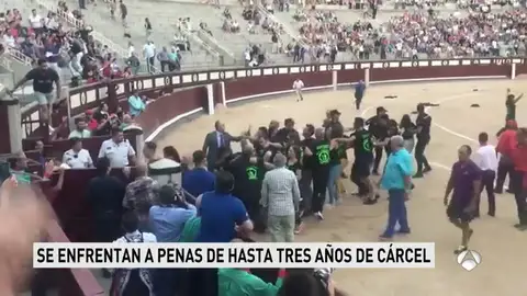 "Fue pacífico", el argumento que los 29 antitaurinos que saltaron al ruedo de Las Ventas esgrimen en su defensa "Fue pacífico", el argumento que los 29 antitaurinos que saltaron al ruedo de Las Ventas esgrimen en su defensa