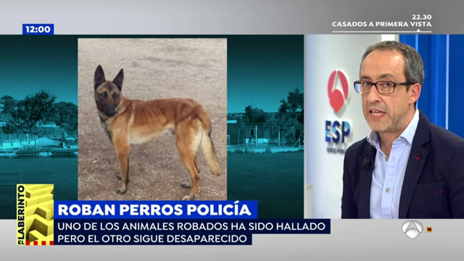 Las autoridades piden colaboración ciudadana por el robo de Leko, un perro especializado en la localización de explosivos