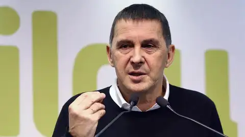 Arnaldo Otegi, coordinador general de Euskal Herria Bildu Arnaldo Otegi
