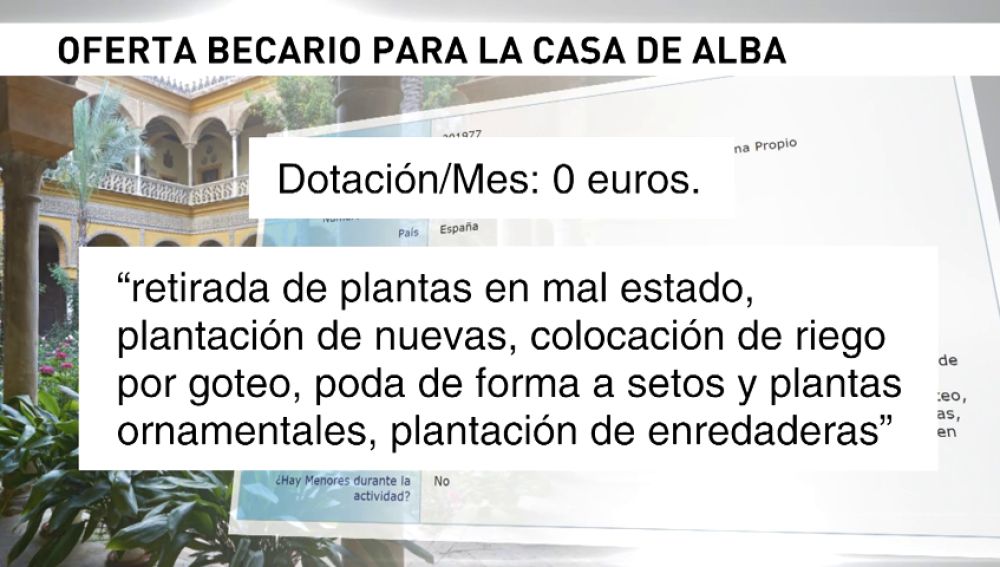 La Casa de Alba solicita becarios gratis para trabajar en el Palacio de Dueñas