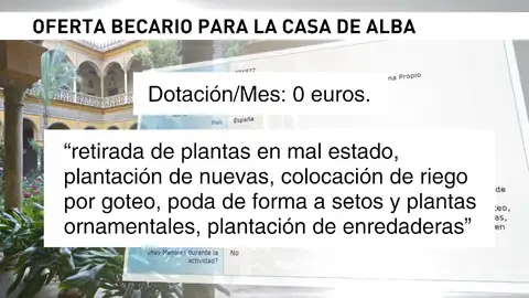 La Casa de Alba solicita becarios gratis para trabajar en el Palacio de Dueñas La Casa de Alba solicita becarios gratis para trabajar en el Palacio de Dueñas